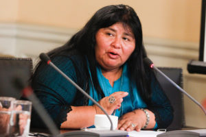 Diputada Nuyado por dichos de Ubilla: 