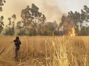 Militar a cargo de La Araucanía descarta decretar toque de queda en la zona