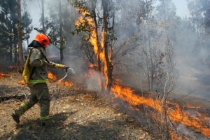 Menor que inició quema de pastizal será vigilado por una institución evangélica