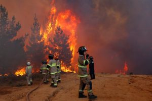 Alcalde UDI de Cochrane por incendios forestales: 