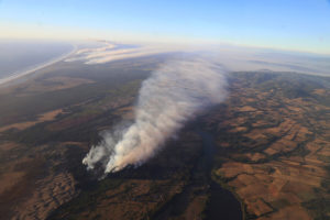 Incendios forestales: solo 11% de siniestros se han extinguido