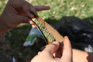 Gendarmería encuentra marihuana en bolsas de té pertenecientes a interno