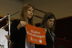 Colegio Médico pone en duda las propiedades “medicinales” de la marihuana y Ana María Gazmuri  reacciona con duro mensaje