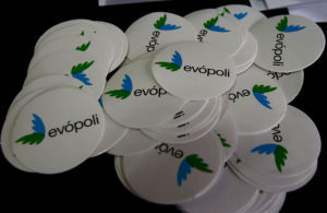 Gastos en alcohol, cigarrillos y Doritos: Servel retiene 161 millones de aporte fiscal a Evópoli