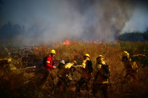 Rescatan a dos personas en medio de incendio forestal en el Maule