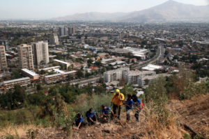 Reforestarán el cerro San Cristobal con 9 mil árboles luego de los incendios