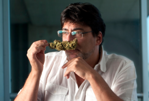 Daniel Jadue: “Una farmacia popular puede proveer droga de buena calidad, de manera segura y con registros reales”