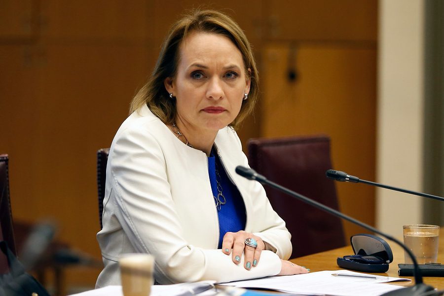 Senadora Goic