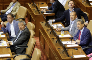 Portonazos: Diputados DC presentan proyecto para sancionar uso de menores en delitos