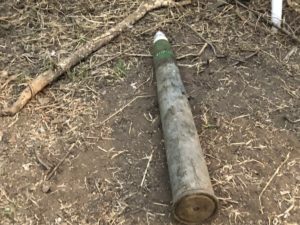 Conejo desenterró munición de guerra en patio de Las Condes