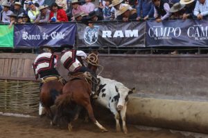 Presidente del rodeo rechazó las críticas: 