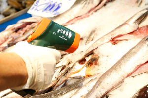 Semana santa: 500 fiscalizaciones, 70 sumarios y 404 kilos decomisados