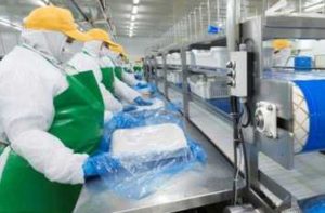 PacificBlu anunció el cierre de su planta de jibia en Talcahuano: 400 personas perderían su empleo