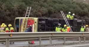 Seis muertos y más de 40 heridos deja volcamiento de bus cerca de Ercilla