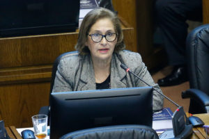 Presidenta de la Comisión del Trabajo y reforma laboral: 