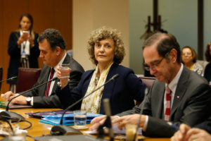 Dobra Lusic expuso ante los senadores y acusó 