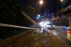 Intendencia Metropolitana detalla que viento provocó caída de 650 árboles