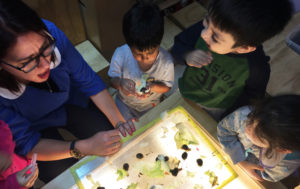 La agonía del pensamiento crítico