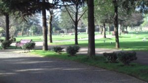 Cementerio Parque del Sendero deberá pagar varios millones a persona que cayó a fosa de dos metros