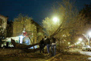 Fuerte viento y caída de árboles deja sin electricidad a nueve comunas de Santiago