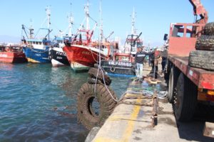 Sacan más de 30 toneladas de basura del fondo marino en Coquimbo: la mayoría eran neumáticos