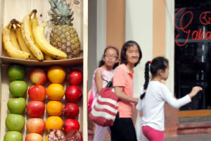 Chile y Vietnam alcanzan acuerdo para la exportación de manzanas y cerezas