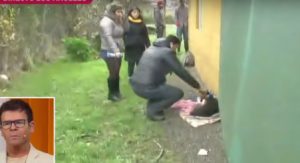 VIDEO | Vecinos pidieron ayuda por perro que terminó con graves heridas por el tornado en Los Ángeles