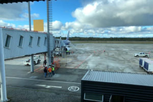 Puerto Montt: avión aterrizó de emergencia tras chocar con pájaros