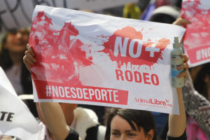 Animal Libre anuncia primera formalización por maltrato en domadura dieciochera