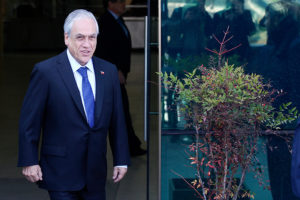 Alcalde de Pucón por citación a declarar a Piñera: 