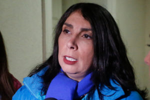 Intendenta Rubilar pide mayor certeza en el pronóstico para poder activar el Código Azul