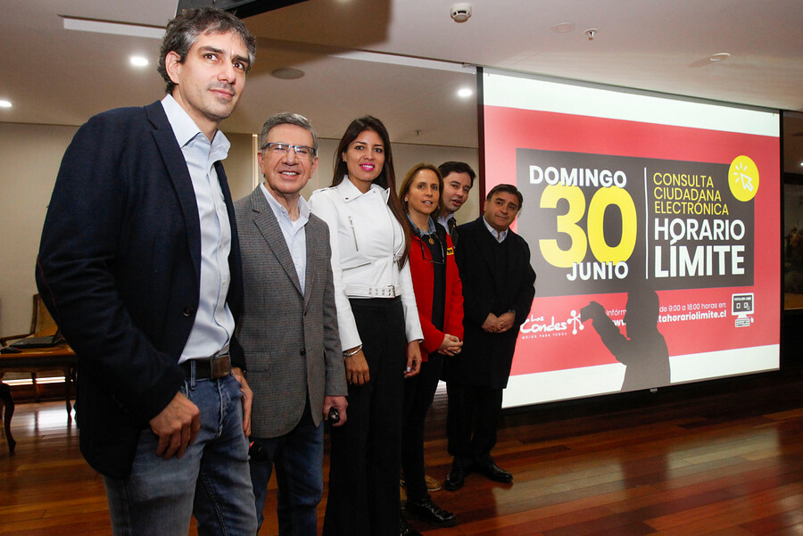consulta ciudadana