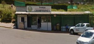 Algo “huele mal” en Quintero: planta de champiñones en la mira por emisión de olores