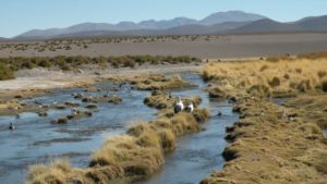 Corte de La Haya dio plazo para que Chile entregue nuevo escrito por Río Silala