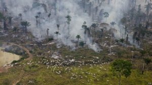 Deforestación de la Amazonía brasileña creció más del 88% en el mes de junio