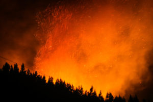 Organización Meteorológica Mundial: incendios en el Ártico alimentan el cambio climático