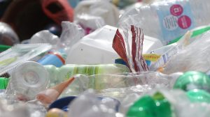 Estudio WWF: personas consumen hasta 2.000 partículas de plástico por semana, lo equivalente a una tarjeta de crédito