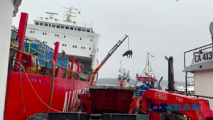 Aysén: empresa marítima realiza salvamento del naufragado Ferry “Coyhaique”