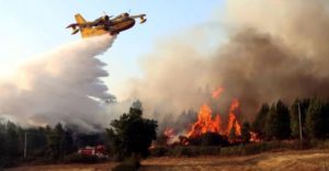 Portugal: Polémica campaña contra el fuego que repartió kits hechos con material inflamable