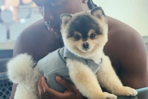 El drama que vivió un campeón de la Champions con el Liverpool por el robo de su perro