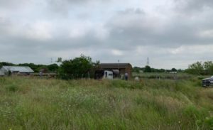 Macabro: Hombre fue devorado por sus perros y no dejaron ni los huesos