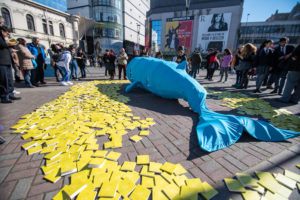 Ballena de 4 metros sorprende a penquistas en el lanzamiento de 
