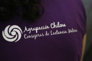 Comisión Mixta del Congreso despacha prohibición contra leche 