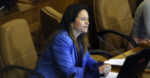 Diputados DC denuncian que millonario programa del Minsal fue designado a 