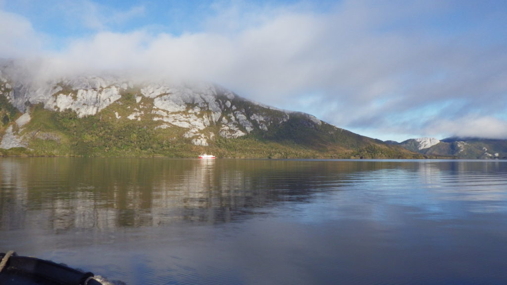 Isla Guarello