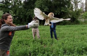 Centro de Rehabilitación Parque Safari reinsertó a 1 de cada 3 animales en la naturaleza