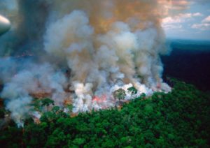 Emergencia en la Amazonía: 16 días de incendios amenazan el pulmón verde de América Latina