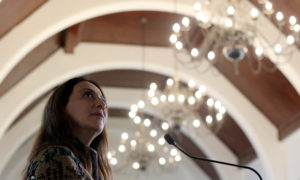 Frases rudas en el teatro de sombras