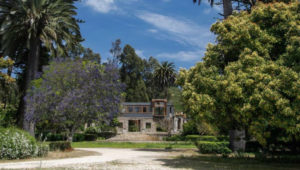 Cuatro paradas en el tranquilo Catapilco