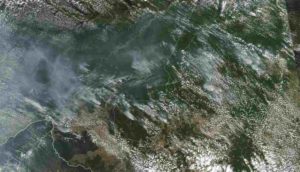 NASA muestra impactante imagen de los incendios que consumen la Amazonía